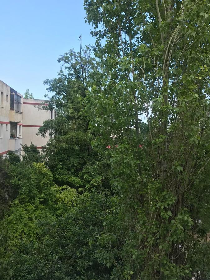 Apartament Myria Constanta Ngoại thất bức ảnh